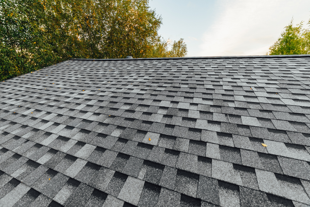 Shingle Roofs